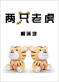 兩衹老虎小說封面