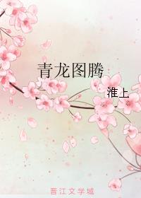 青龍圖騰55章山洞內容封面