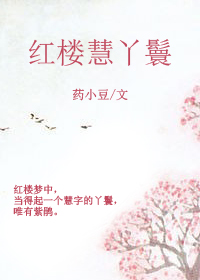 紅樓慧丫鬟小说封面
